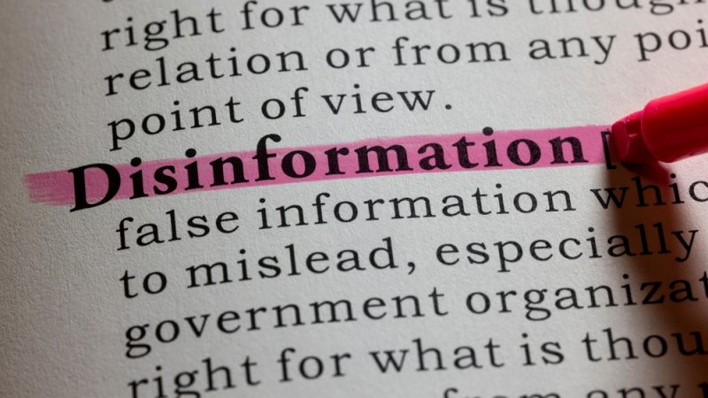 Unraveling the Web of Disinformation: The Battle for Truth in the Information Age